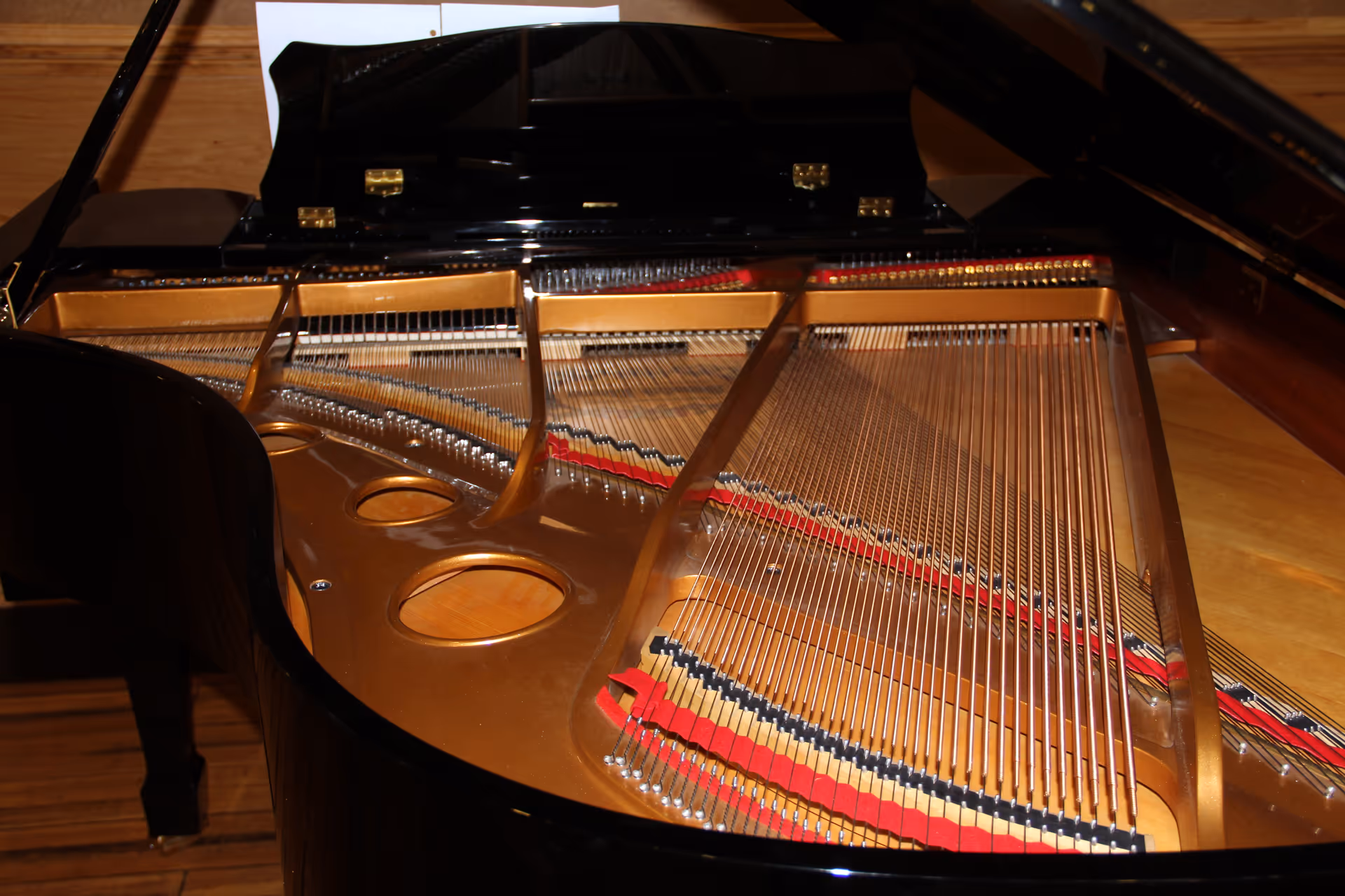 Close-up view of the inside of a grand piano showing the strings, hammers, and soundboard with the lid open.