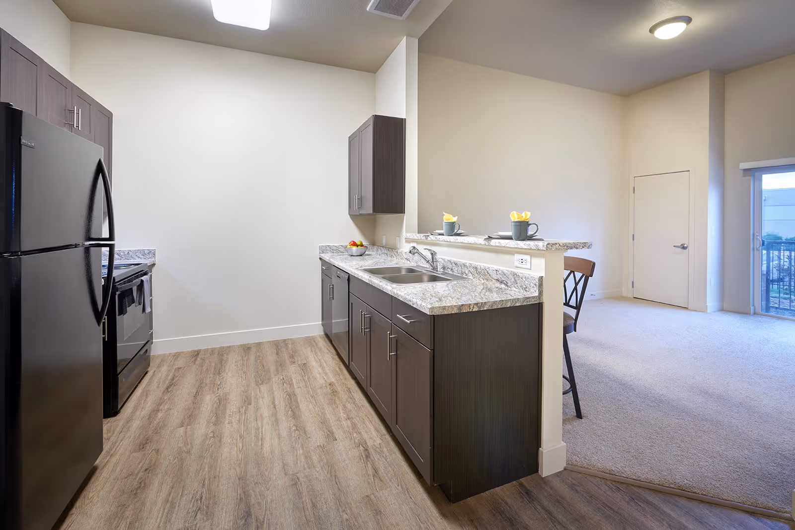 Modern kitchen with dark wood cabinets, granite countertops, a black refrigerator, black stove, and a double sink. The kitchen opens into a carpeted living area with a chair and a small dining counter set with two cups and napkins. There is a door and a sliding glass door leading outside in the background.