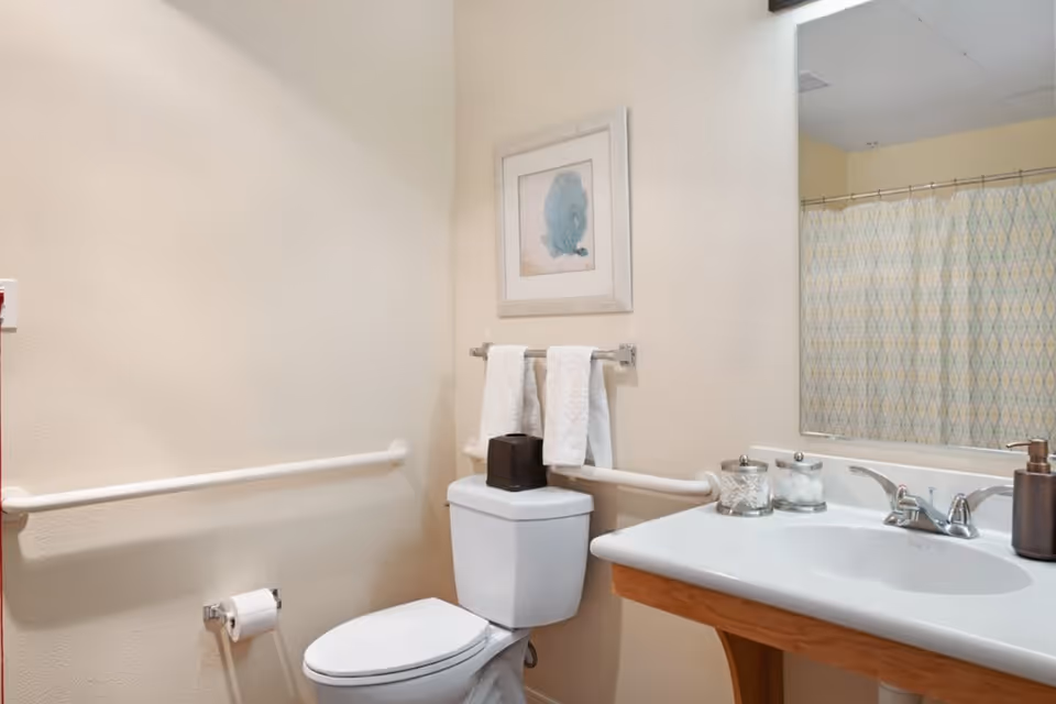 A clean and accessible bathroom featuring a white toilet with a tissue box on top, a white sink with a silver faucet, and a large mirror above the sink. There are grab bars on the walls near the toilet and sink for support. Two white towels hang on a towel rack above the toilet. A framed artwork is mounted on the wall above the towel rack. A shower curtain with a geometric pattern is visible in the reflection of the mirror.