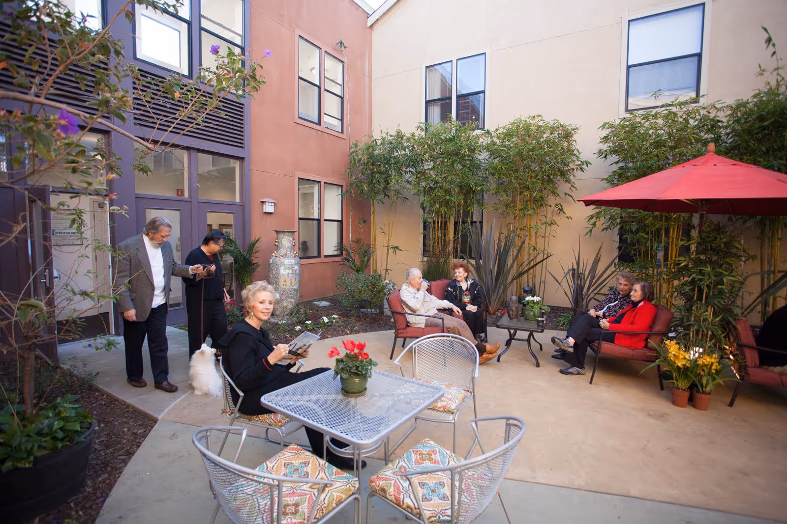 A group of elderly people socializing in an outdoor courtyard of a senior living facility. Some are seated on cushioned chairs around a small table with plants, while others are walking with a small white dog. The courtyard is surrounded by building walls with windows, plants, and a red umbrella providing shade.