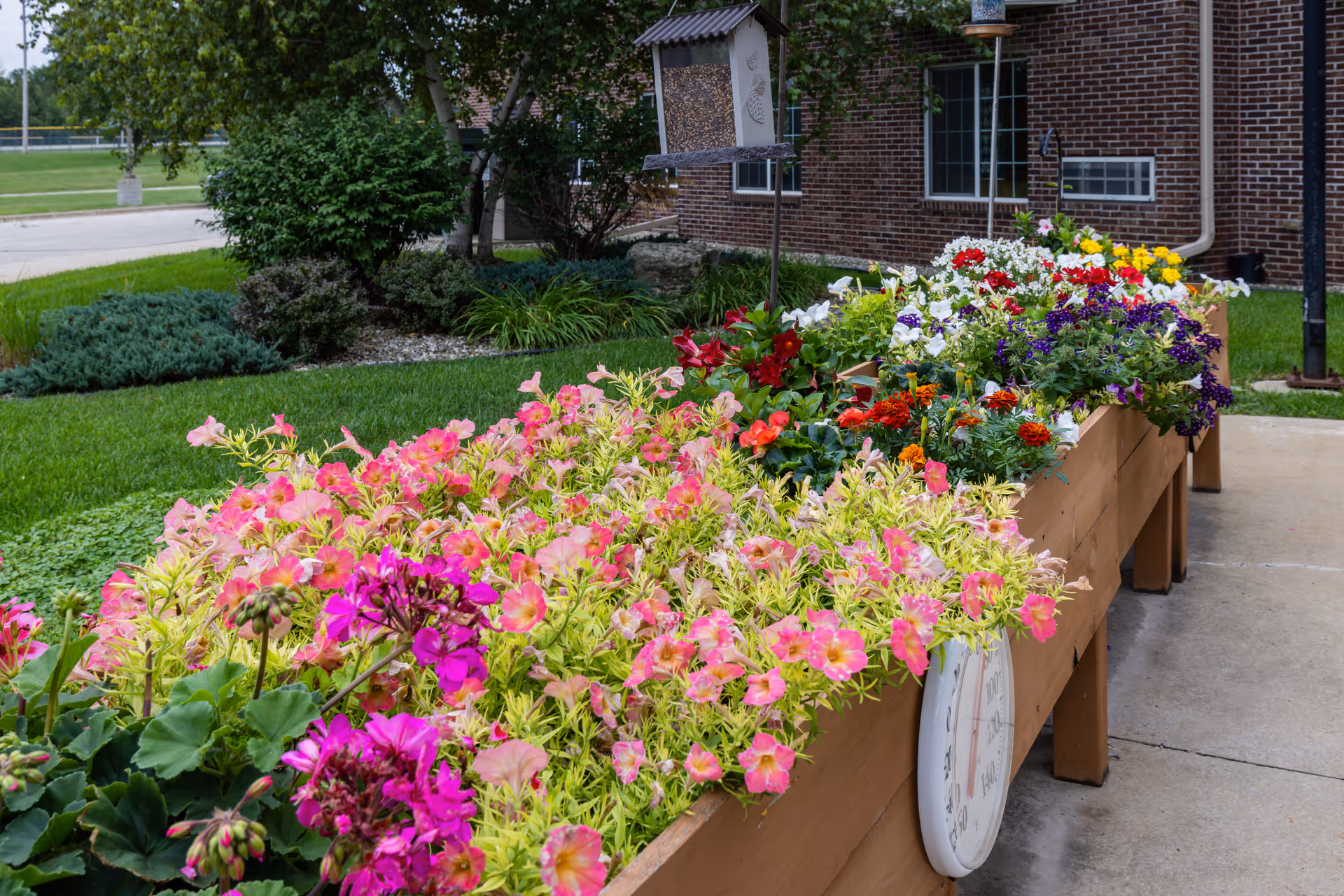 A raised wooden garden bed filled with a variety of colorful flowers including pink, purple, red, white, and yellow blooms. The garden bed is situated outdoors on a concrete patio next to a brick building with windows and an air conditioning unit. There is a bird feeder mounted on a pole above the garden bed, and green shrubs and grass are visible in the background.