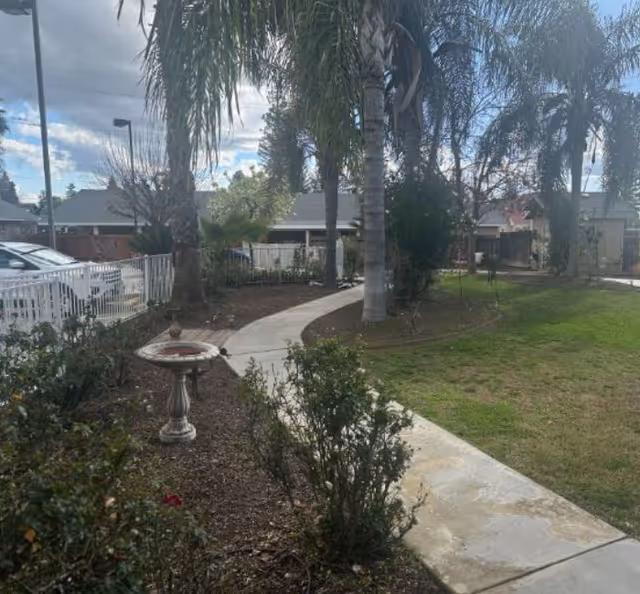 Curved concrete walkway winds through a palm-filled exterior courtyard at The Village at Mill Creek