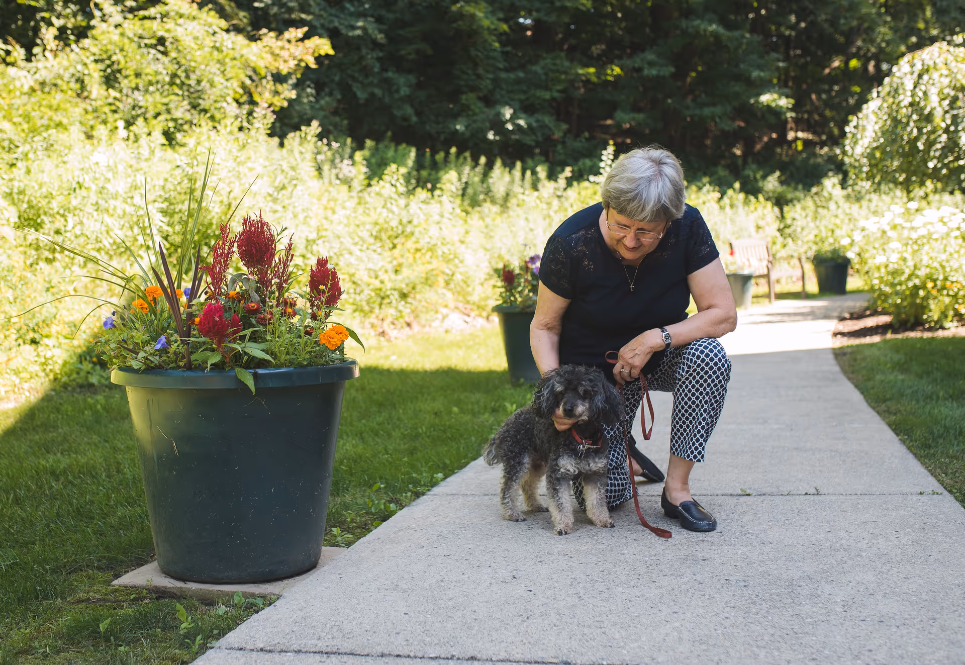 An elderly woman with short gray hair wearing a black top and patterned pants is crouching on a paved pathway outdoors, petting a small black and gray dog on a leash. There is a large green planter with colorful flowers on the left side of the pathway, and greenery and trees in the background.