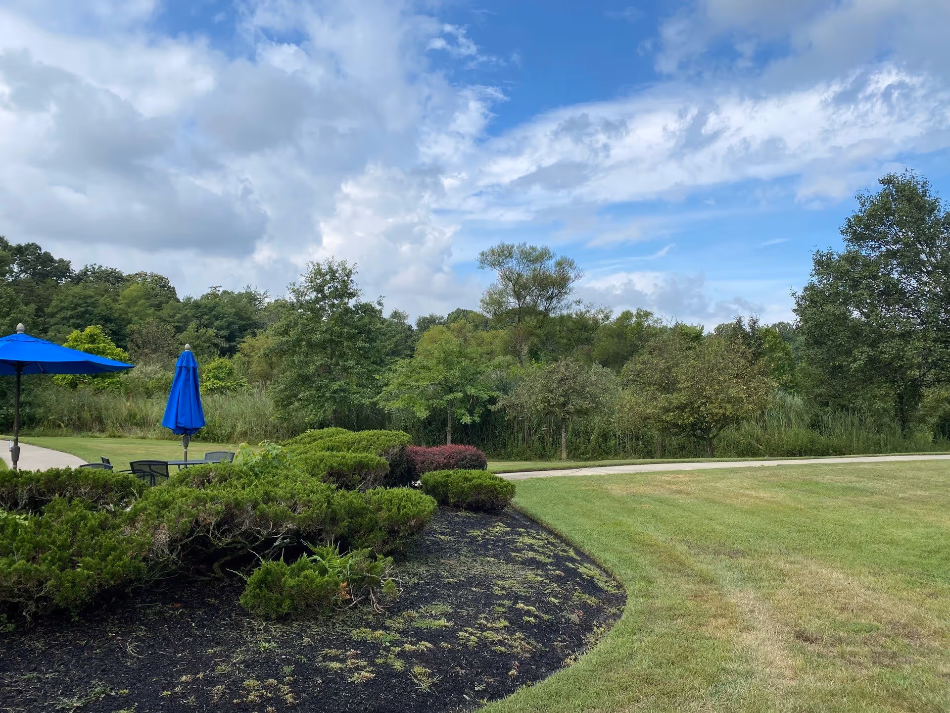 Outdoor garden area with green grass, bushes, and trees under a partly cloudy blue sky. There are two blue patio umbrellas and outdoor seating visible on a paved area to the left.