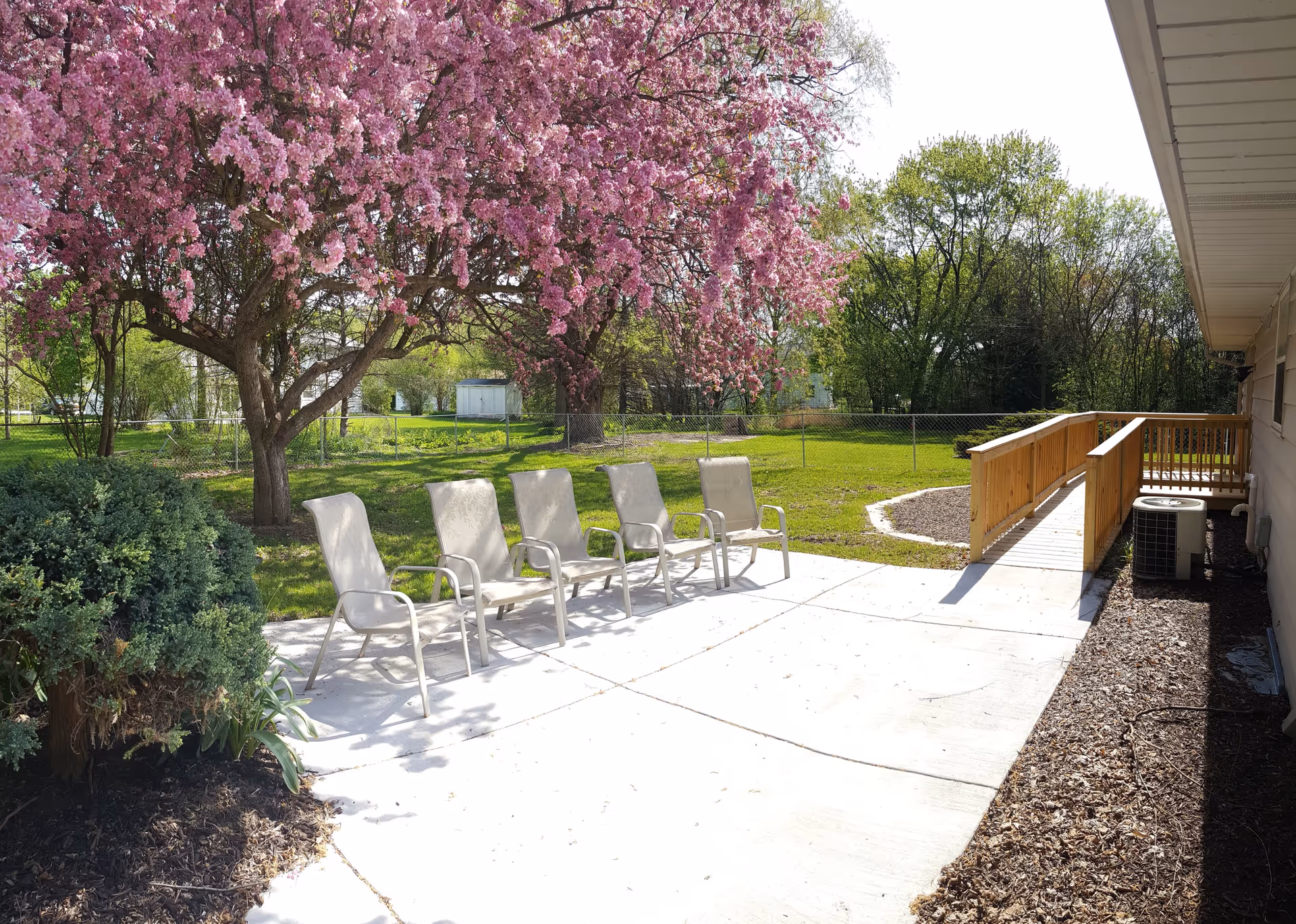 Outdoor patio area with five beige chairs arranged in a row on a concrete surface. To the left, there is a large tree with pink blossoms and some green bushes. In the background, there is a green lawn enclosed by a chain-link fence and more trees. On the right side, there is a wooden ramp leading to a building entrance.