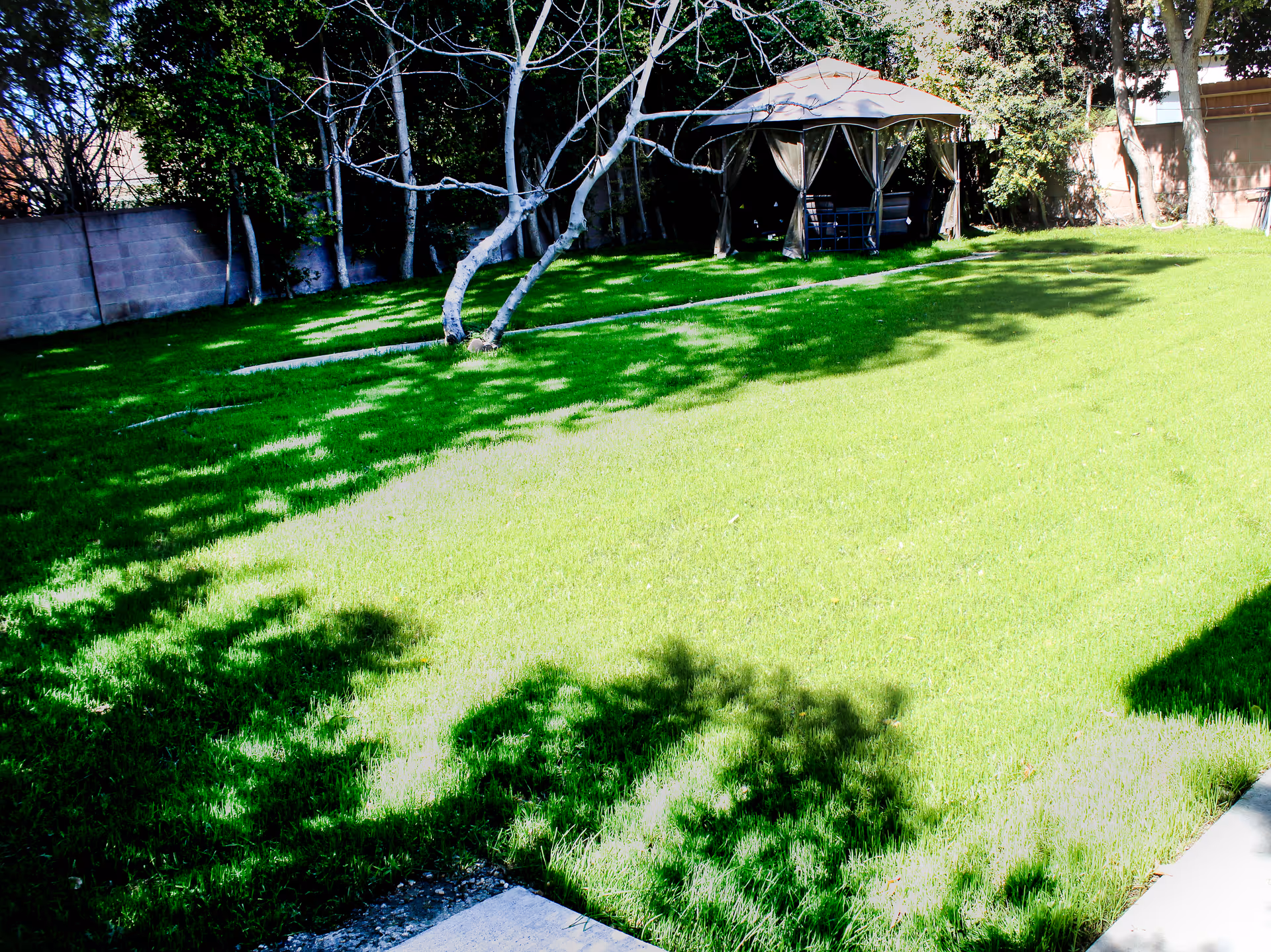 Sunlit grassy backyard with a gazebo, trees, and a cinderblock fence.