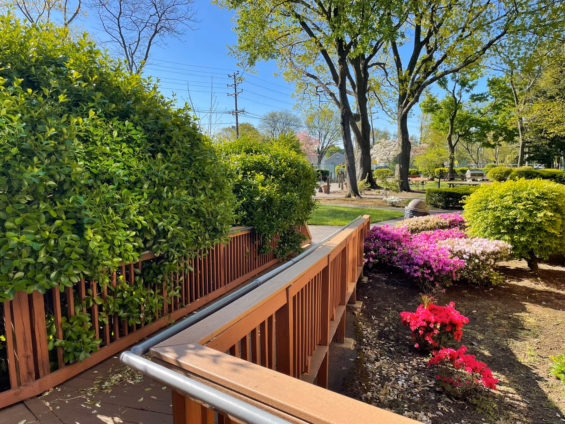A sunny outdoor garden area with a wooden ramp bordered by green bushes on the left and colorful flowering plants on the right. Tall trees and a clear blue sky are visible in the background along with some benches and a pathway.