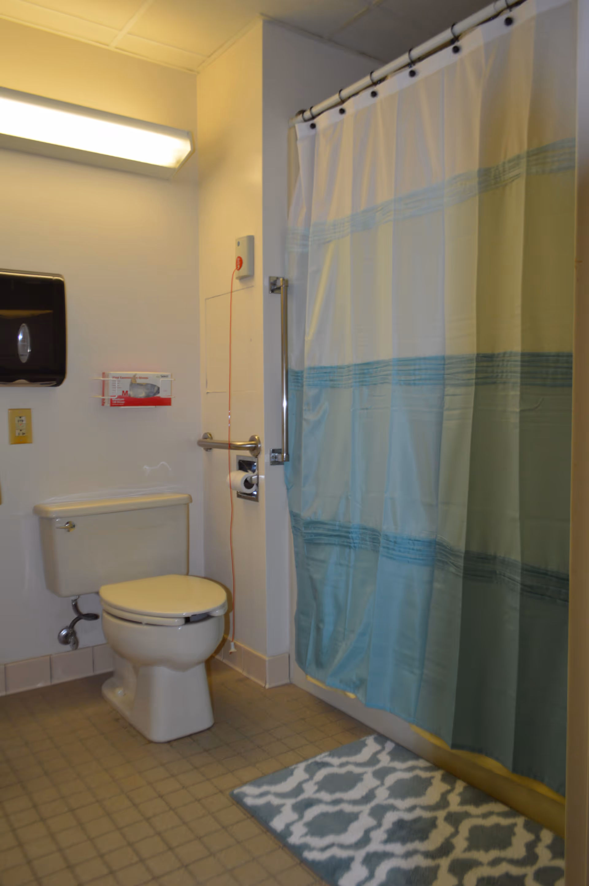 Accessible bathroom showing a toilet, grab bar, and a shower with a blue-green curtain and patterned bath mat.