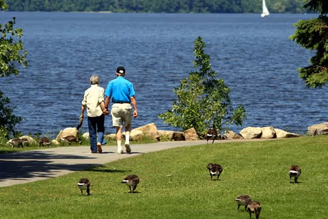 An older couple walking hand-in-hand along a lakeside path with geese on the grassy shore and a sailboat in the distance.