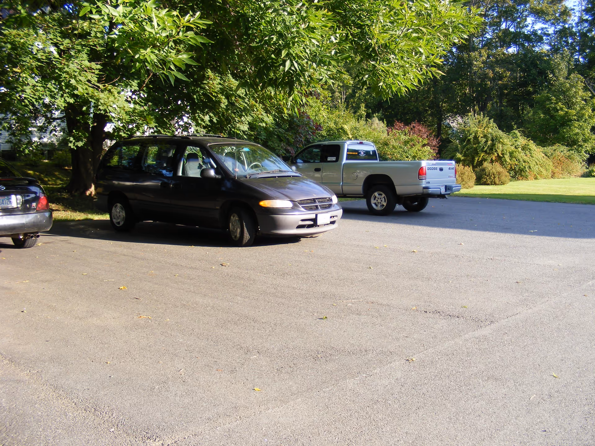 A parking lot with three vehicles parked near a tree and green bushes in the background under a clear sky.