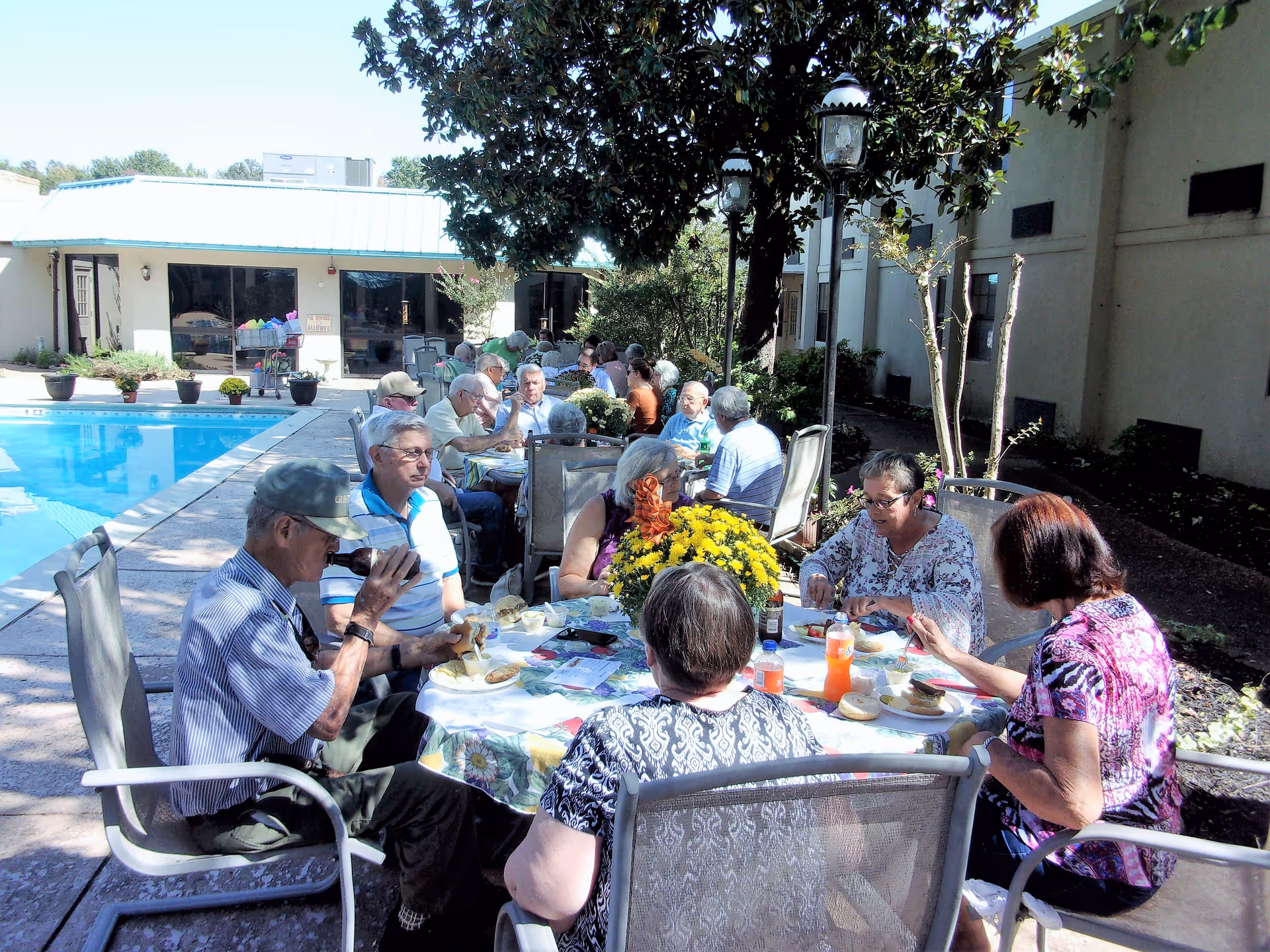A group of elderly people sitting around tables outdoors near a swimming pool, enjoying a meal together under the shade of trees and surrounded by plants and flowers.