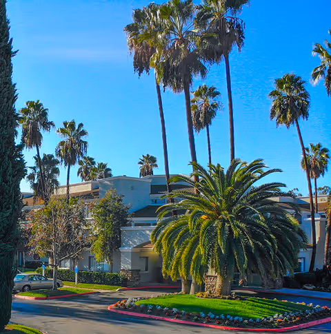 Exterior front of a senior living building framed by tall palm trees, a landscaped circular driveway, and a clear blue sky.