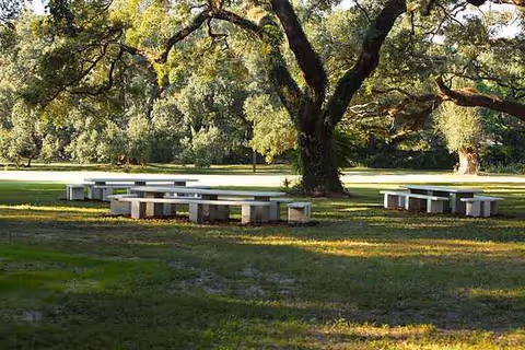 Open grassy park area with large trees and white outdoor picnic tables.