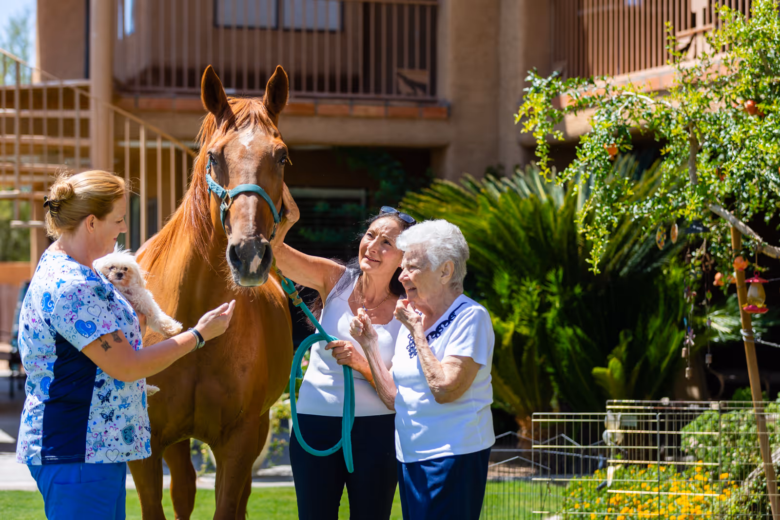 Two women and a caregiver standing outside near a brown horse. One woman is petting the horse while the caregiver holds a small white dog. They are in a garden area with greenery and a building in the background.