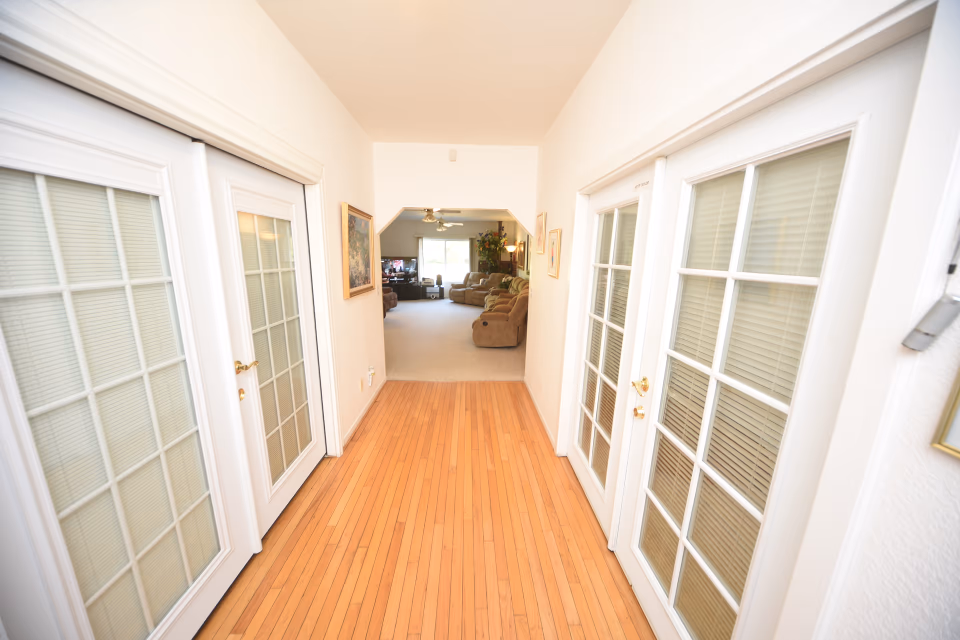 Bright hallway with hardwood floor flanked by glass-paneled French doors leading to a living room with sofas.