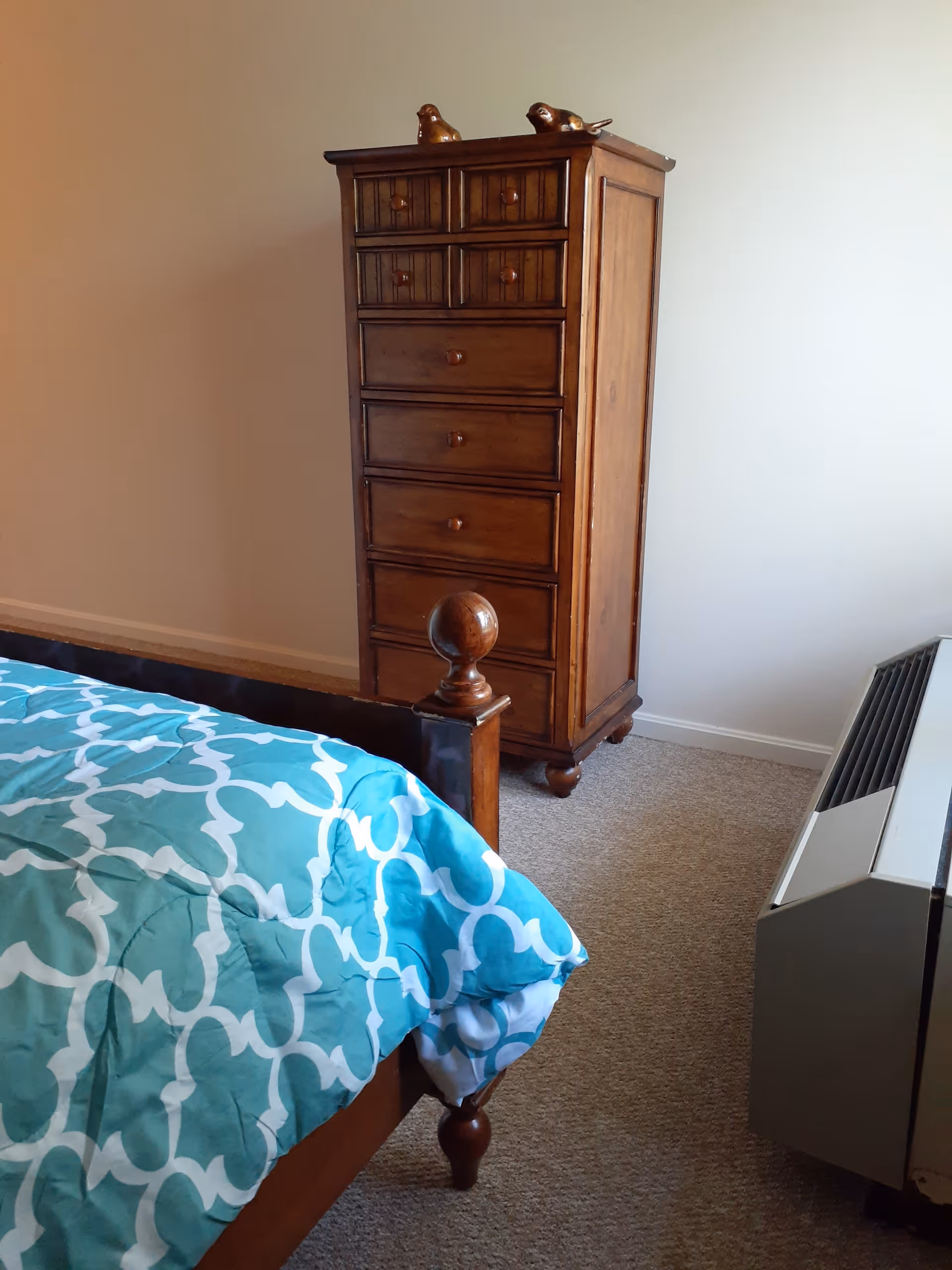 A bedroom corner featuring a wooden chest of drawers with decorative bird figurines on top, part of a wooden bed frame with a blue and white patterned comforter, and a wall-mounted heater on a carpeted floor.