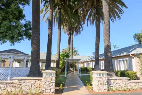 Entrance walkway at South Bay Post Acute Care, framed by tall palm trees and stone pillars.