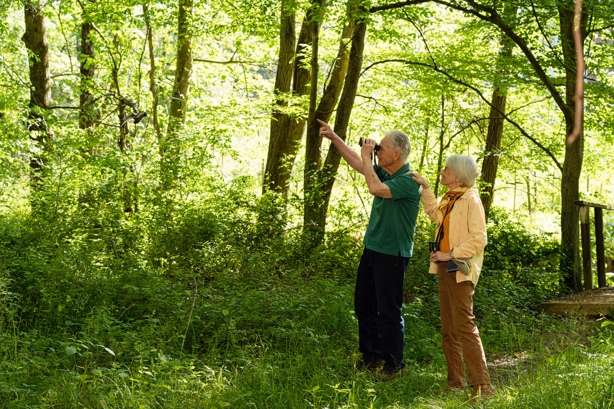 An elderly man and woman stand in a lush green forest. The man is looking through binoculars and pointing at something in the distance, while the woman stands beside him with one hand on his shoulder, holding her own binoculars. Sunlight filters through the trees, illuminating the vibrant foliage around them.
