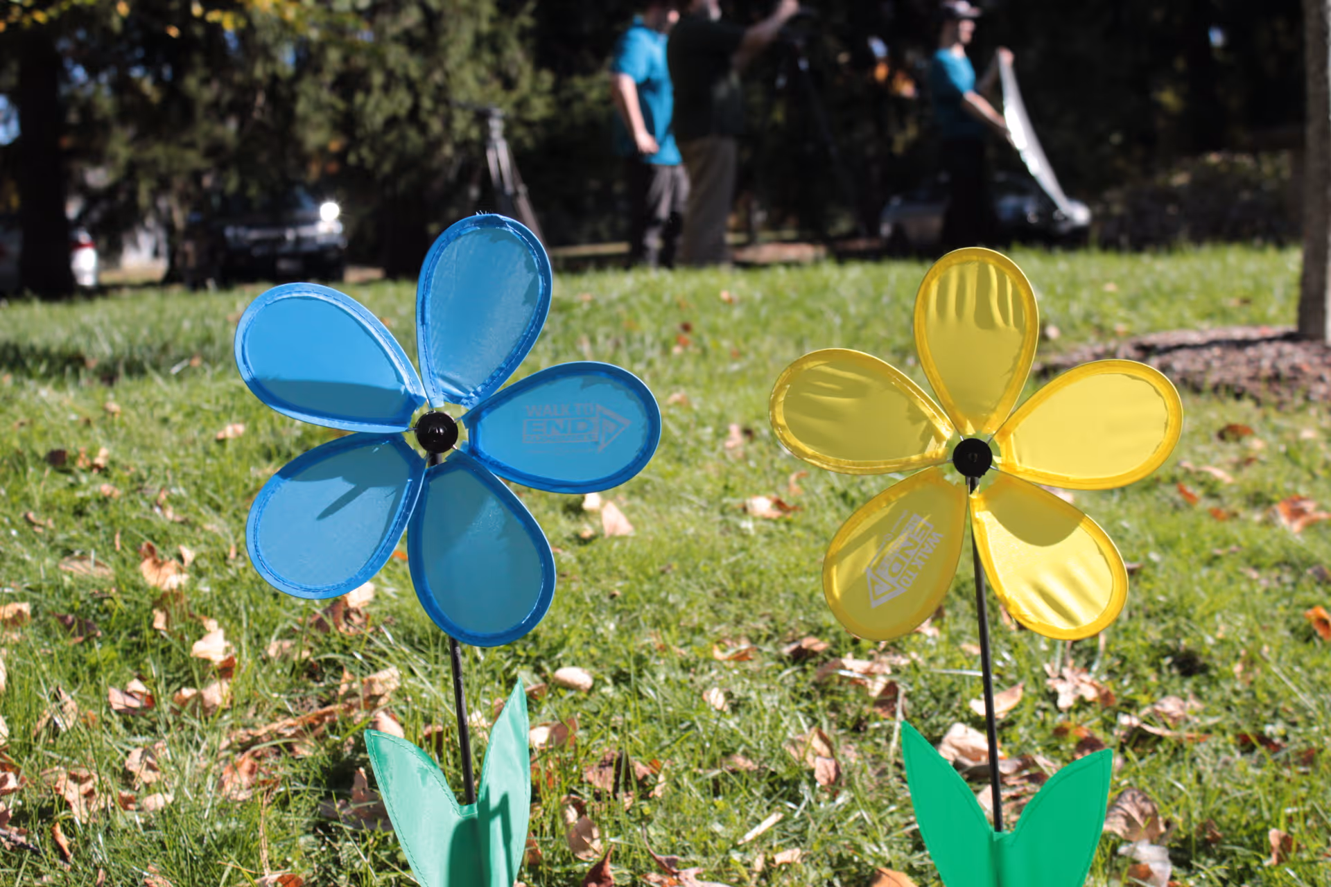 Two colorful pinwheel flowers, one blue and one yellow, planted in green grass with some fallen leaves. In the background, there are blurred figures of people standing and trees.