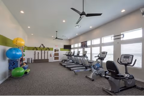 A bright fitness room with large windows along one wall. The room contains several treadmills, stationary bikes, and exercise balls. There are ceiling fans and recessed lighting, with a green stripe along one wall holding additional exercise equipment.