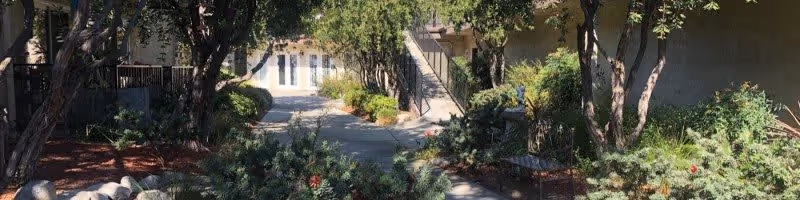 A paved walkway surrounded by green shrubs and trees leading to a building entrance with double doors. The area is shaded by trees and has a peaceful garden-like atmosphere.