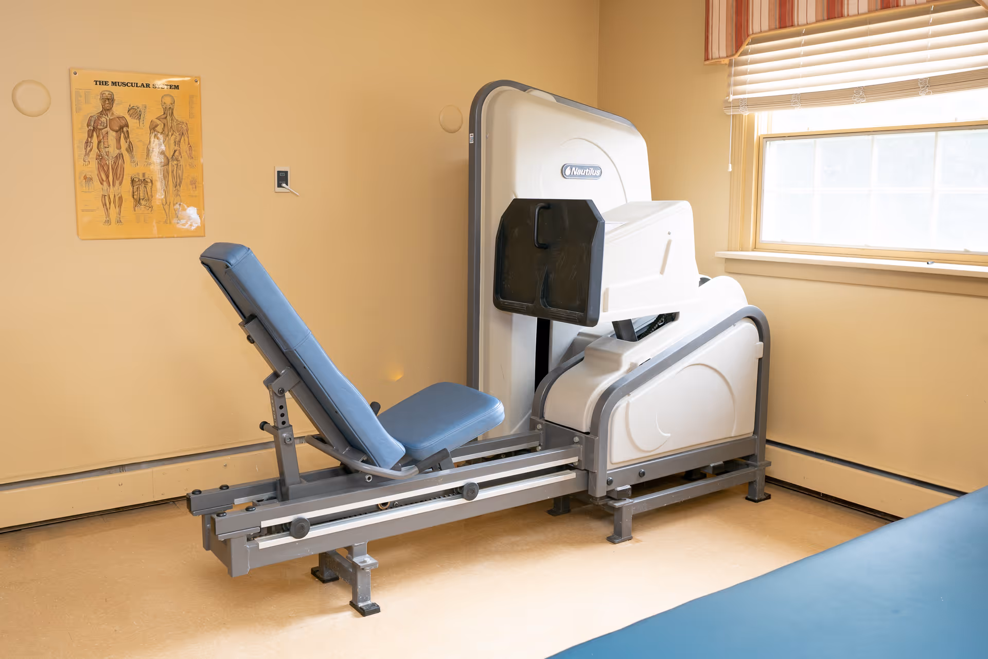 A leg press exercise machine with a blue padded seat in a room with beige walls and a window with blinds. A poster of the muscular system is on the wall.