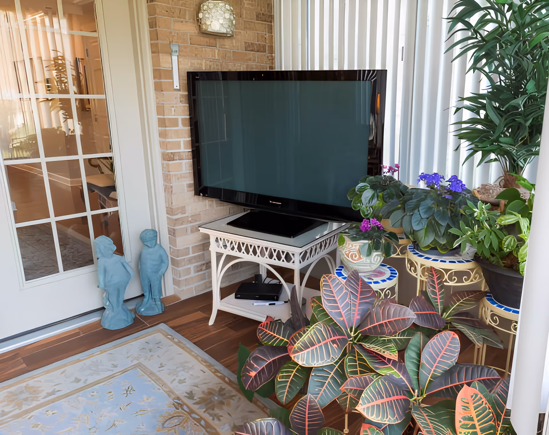 A cozy indoor space featuring a flat-screen TV on a white ornate stand, surrounded by various potted plants with green and purple leaves. There are two small blue statues of children near a glass-paneled door, and a light-colored rug with floral patterns on the wooden floor.
