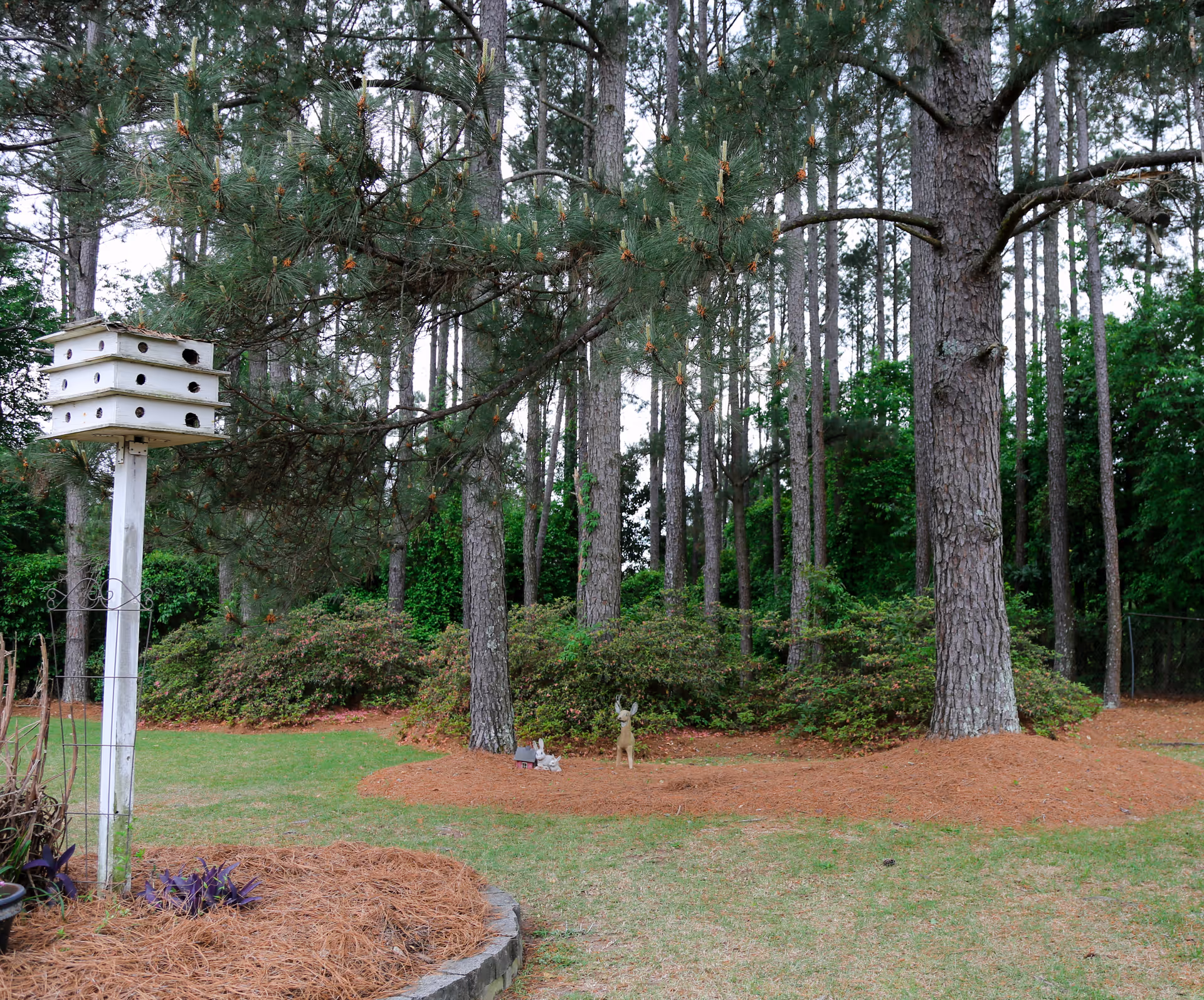 A landscaped outdoor area with tall pine trees, a multi-compartment birdhouse on a white post, and mulch beds on a grassy lawn.