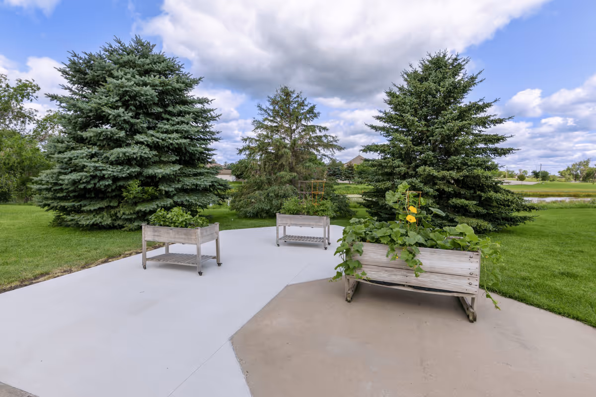 Outdoor patio area with three wooden planter boxes containing green plants and flowers, surrounded by lush green grass and several large evergreen trees under a partly cloudy sky.