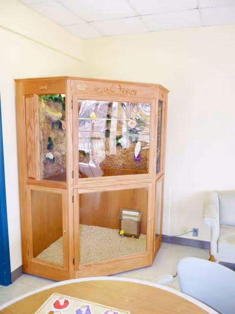 Wooden corner cabinet with glass doors sits beside a white couch in a bright room.