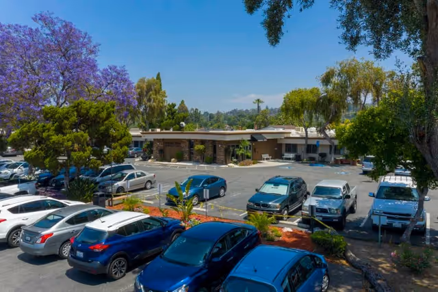 Parking lot with multiple cars parked in front of a single-story building surrounded by trees, including a large tree with purple flowers, under a clear blue sky.