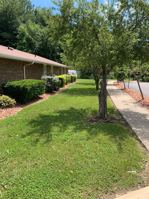 A grassy lawn area with a tree in the foreground and a sidewalk running alongside it. To the left is a brick building with bushes and shrubs planted along its side. The background shows more trees and greenery under a clear sky.