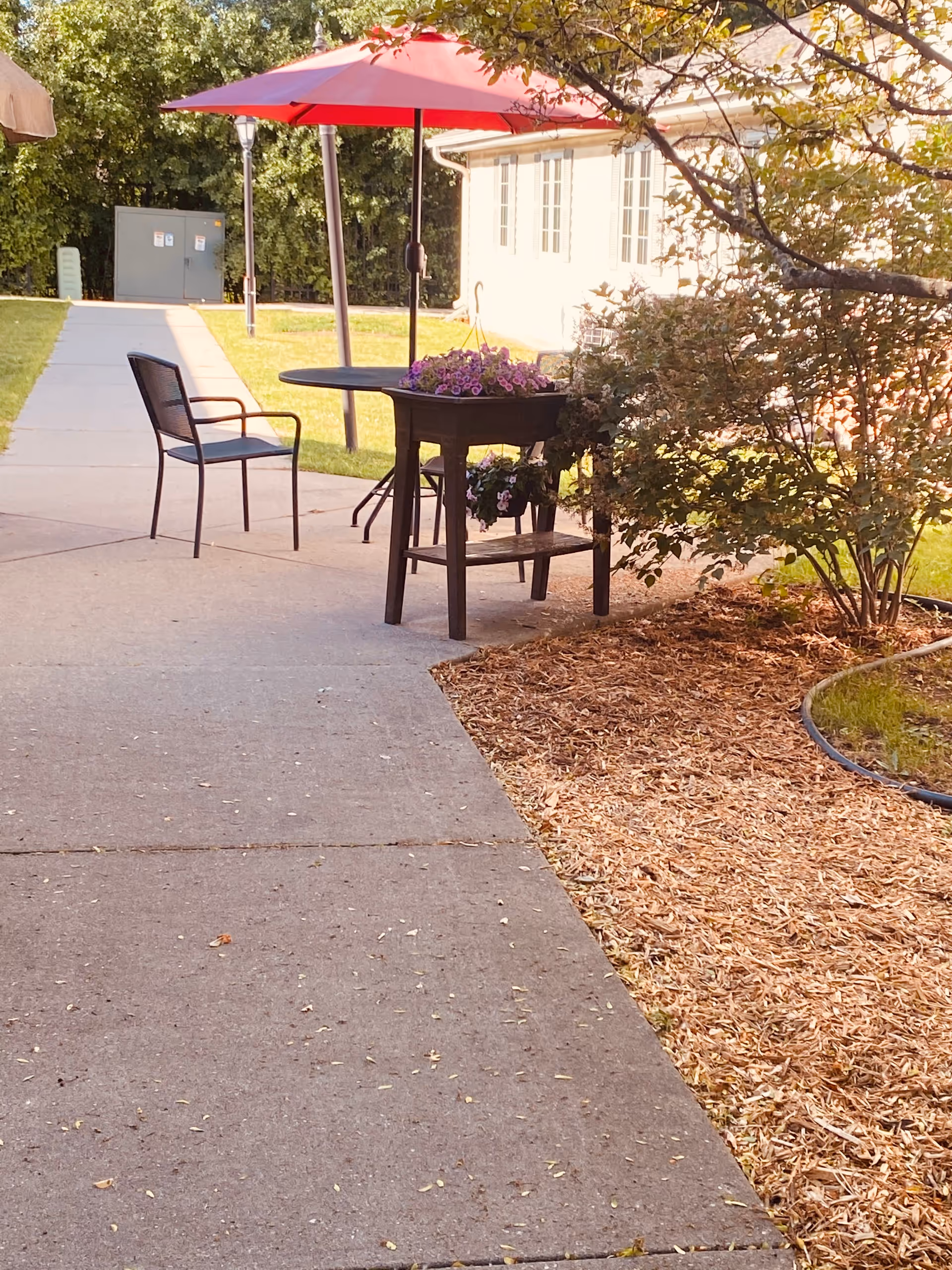 Outdoor patio area with a concrete walkway, a black metal chair, a round table with a red umbrella, and a planter with purple flowers. There are bushes and a building with windows in the background.