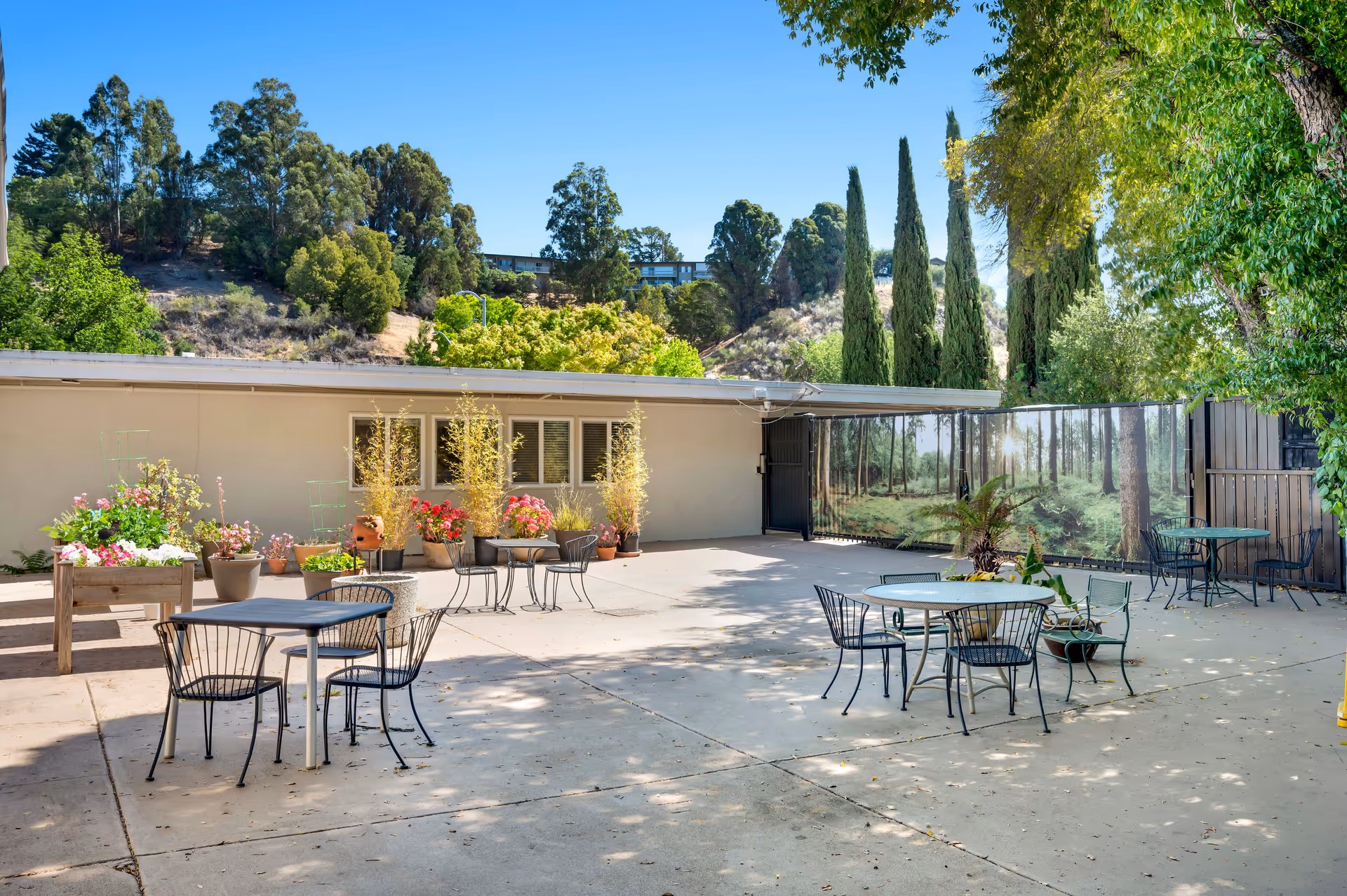 Outdoor patio area at Greenwood Assisted Living with several metal tables and chairs arranged on a concrete surface. There are potted plants and flowers along the building wall, and tall trees and hills in the background under a clear blue sky. A gate with a forest mural is visible on the right side.
