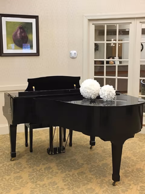 A black grand piano with two white decorative pom-poms on top, placed on a patterned carpet in a room with beige walls. A framed picture of a fruit hangs on the wall, and there is a glass-paneled door in the background showing a glimpse of another room.
