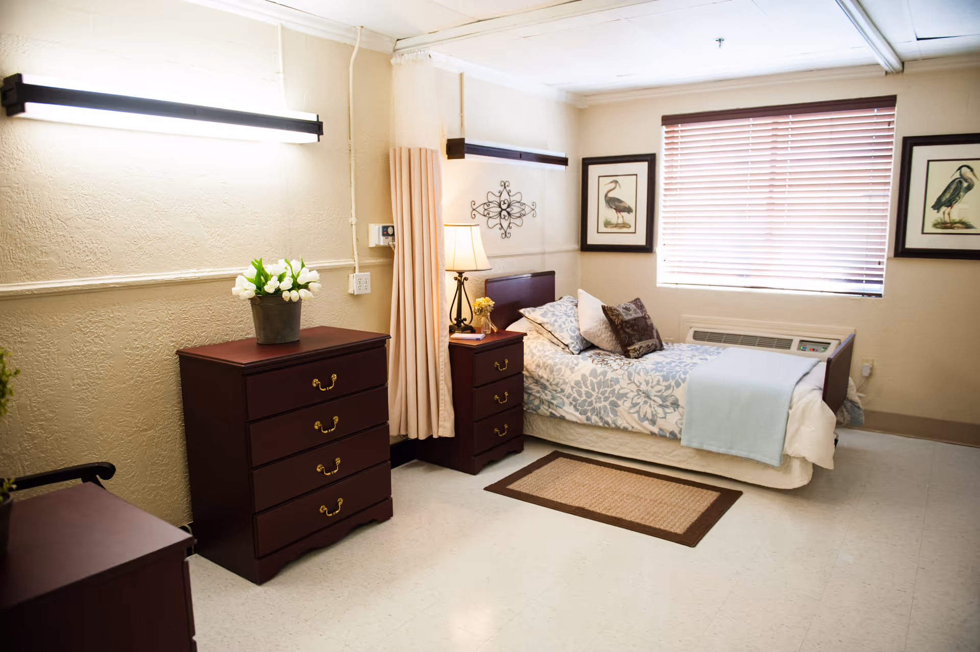 Sunlit, neatly arranged bedroom with a single bed, wooden nightstand and dresser, lamp, and window blinds.