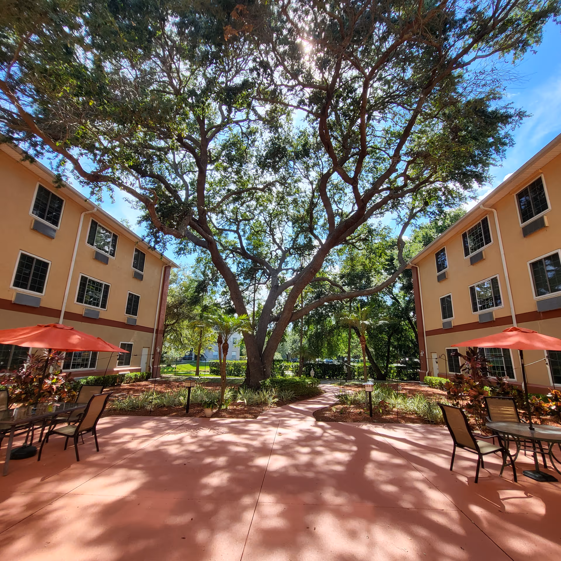 Sunlit courtyard with a large central tree, patio tables and red umbrellas between two peach-colored residential buildings.