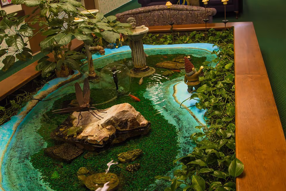 Indoor decorative water feature with a small pond containing fish, a rock, a metal dragonfly sculpture, a birdbath, and a garden gnome. The pond is surrounded by green plants and a wooden frame, with a couch and green carpet visible in the background.
