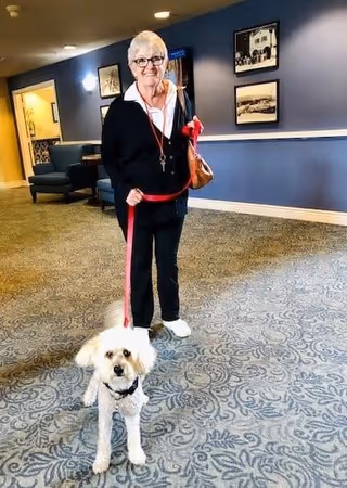 An elderly woman with short white hair and glasses stands indoors on a patterned carpet holding a red leash attached to a small white dog. The background shows blue walls with framed pictures and a seating area with chairs.