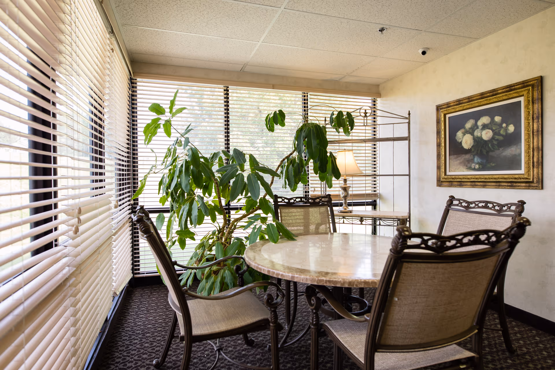 Sunlit dining area with a round marble table, four decorative chairs, a large potted plant, and a framed floral painting on the wall.