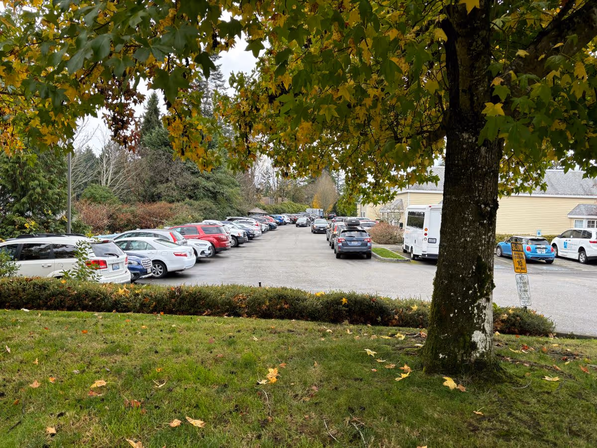Parking lot filled with cars seen from a grassy foreground under a large tree, with a light-colored building in the background.