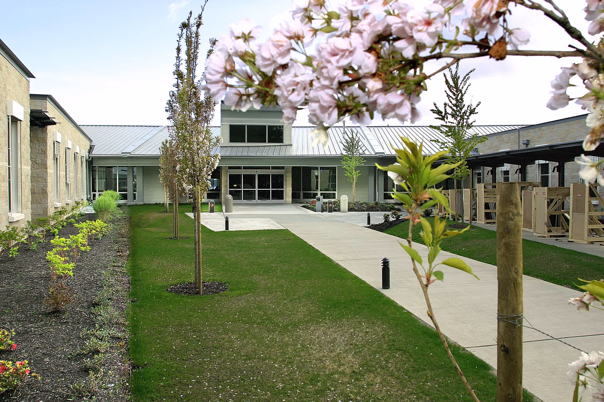 A landscaped courtyard and concrete walkway leading to the main entrance of a single-story facility, framed by flowering branches.