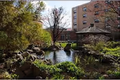 Courtyard garden with a pond, rocks, plants, a gazebo, and a multi-story building in the background.
