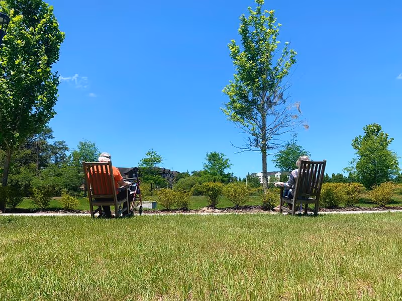 Two elderly individuals sitting on wooden chairs outdoors facing away, enjoying a sunny day in a green park-like area with trees, bushes, and a clear blue sky.