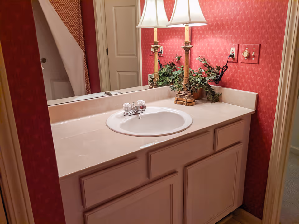 Bathroom vanity with a white sink, beige countertop, and wooden cabinets below. There are two decorative lamps with white shades and a green leafy plant on the countertop. The wall behind the vanity is covered with red patterned wallpaper, and a large mirror is mounted above the sink.