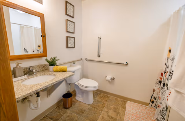 A clean and accessible bathroom with a granite countertop sink, a wooden framed mirror, a white toilet with grab bars on the wall, a small plant and a rolled yellow towel on the counter, a trash bin on the floor, a patterned shower curtain, and a bath mat on the tiled floor.