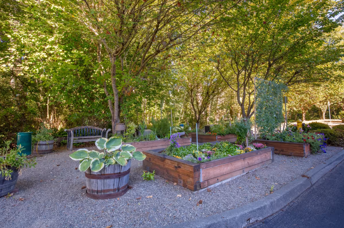 A shaded outdoor garden area with raised wooden planter boxes, potted plants, a bench, and trees.