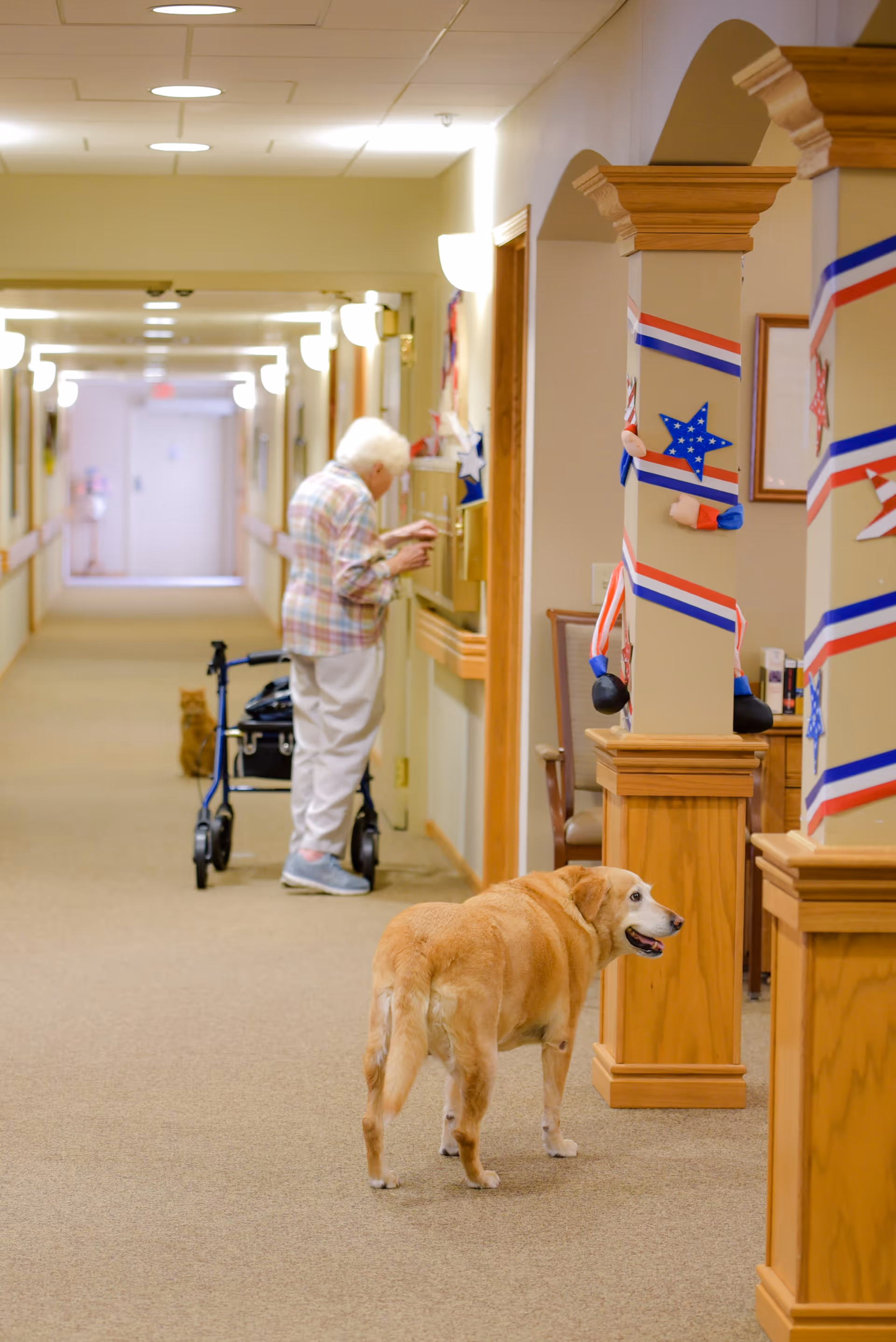 Interior hallway of a senior living facility with an elderly woman using a walker at a mailbox and a dog standing in the corridor.