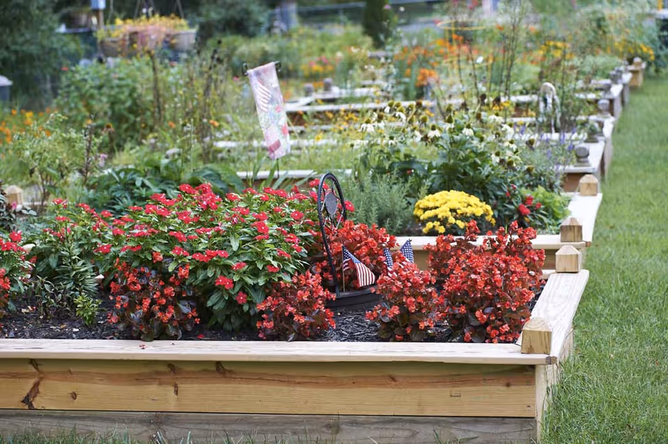 Raised garden beds filled with various colorful flowers and plants, including red, yellow, and white blooms, with small American flags and a decorative chair ornament in one of the beds, surrounded by green grass.