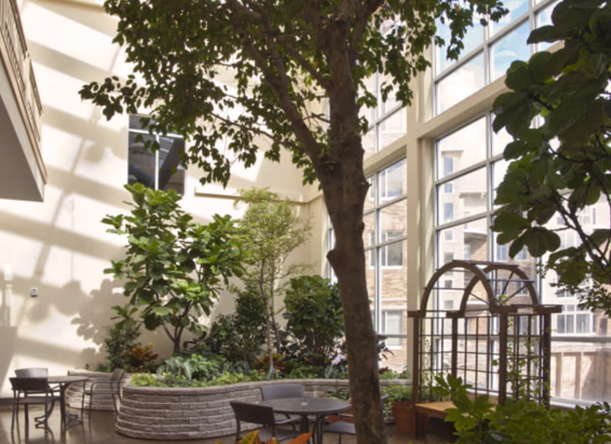 Indoor garden area with large windows letting in natural light, various green plants and trees, a curved raised planter, round tables with chairs, and a wooden trellis structure.